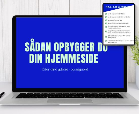 online seo kursus