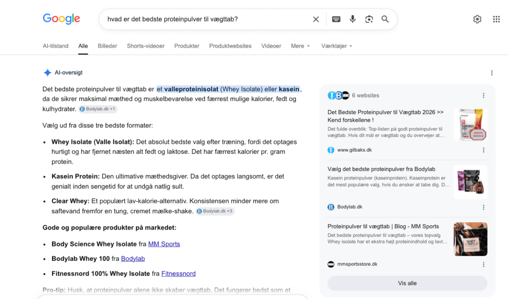 Eksempel på hvad GEO er i AI overwiev