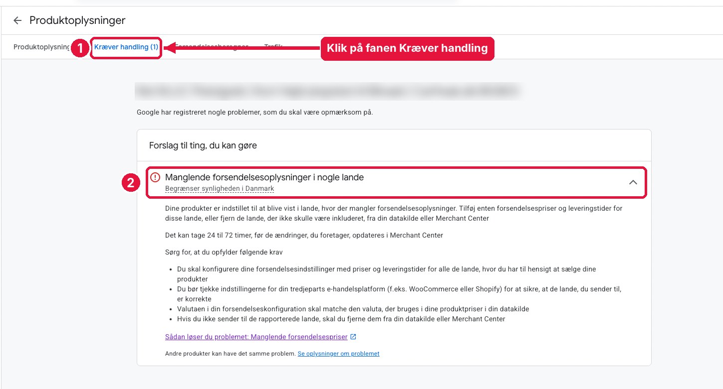 Google Merchant Center: fanen Kræver handling viser fejlen Manglende forsendelsesoplysninger i nogle lande